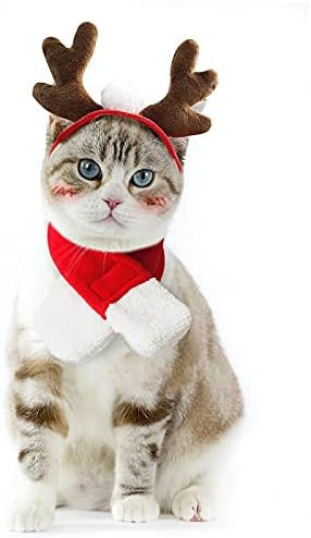 Enjoying Christmas Cat Clothes, Puppy Reindeer Antlers Hat with Xmas Scarf, Dog Rabbit Costume, S... | Amazon (US)