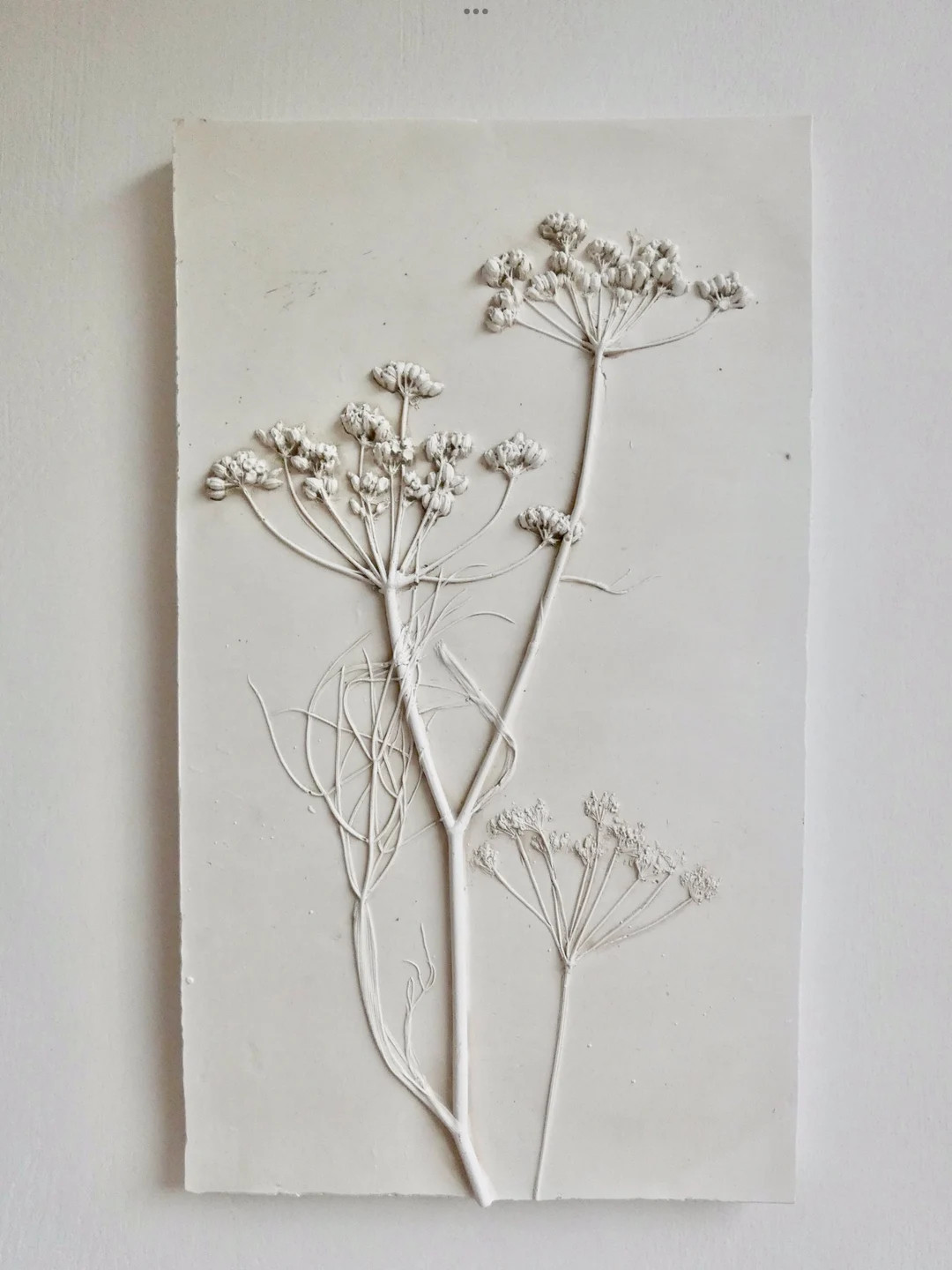 Botanical Plaster Relief, Plaster Cast, Cow Parsley, Fennel, Country Garden, Wild Flowers, Gift, ... | Etsy (US)
