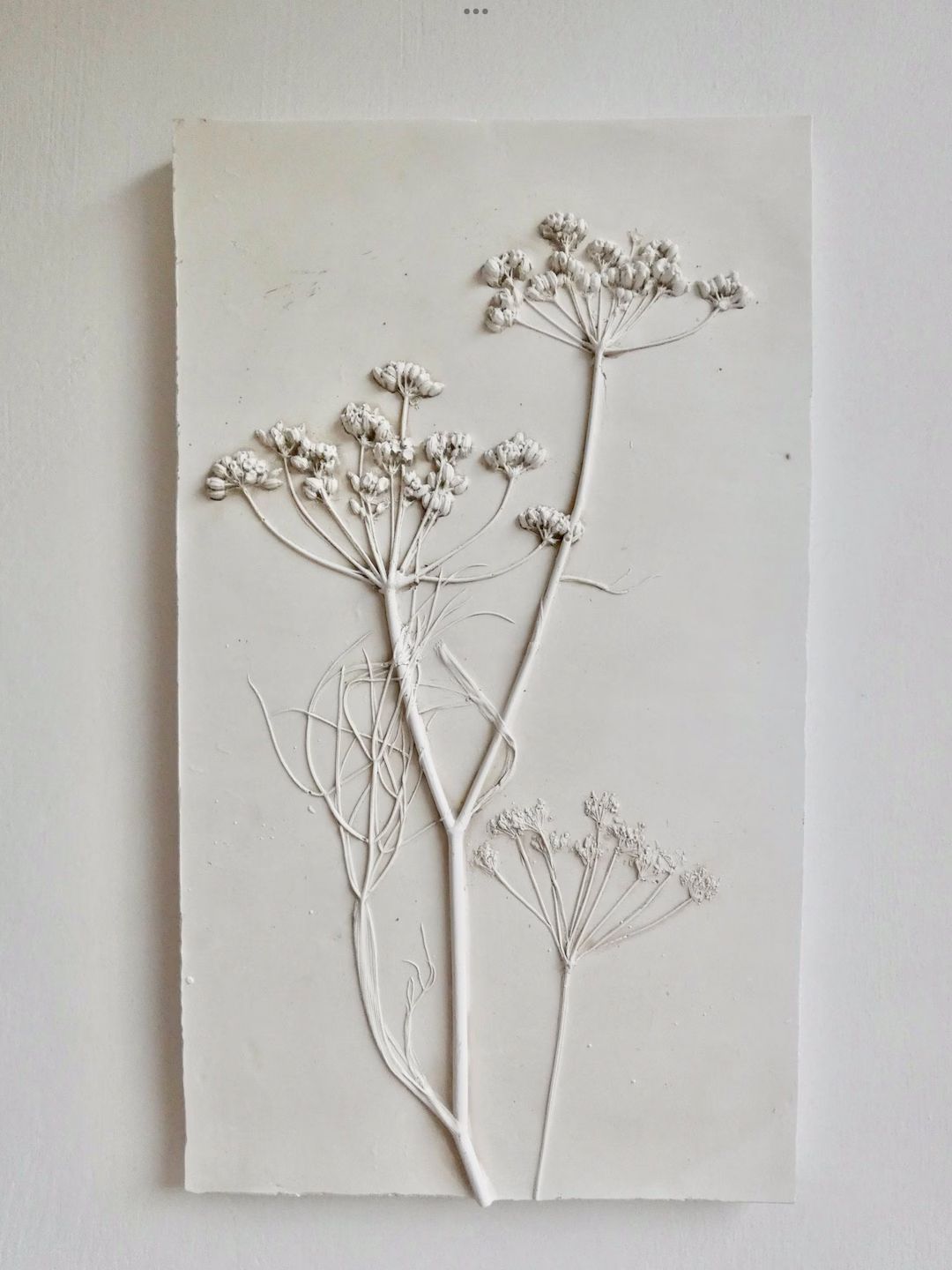 Botanical Plaster Relief, Plaster Cast, Cow Parsley, Fennel, Country Garden, Wild Flowers, Gift, ... | Etsy (US)