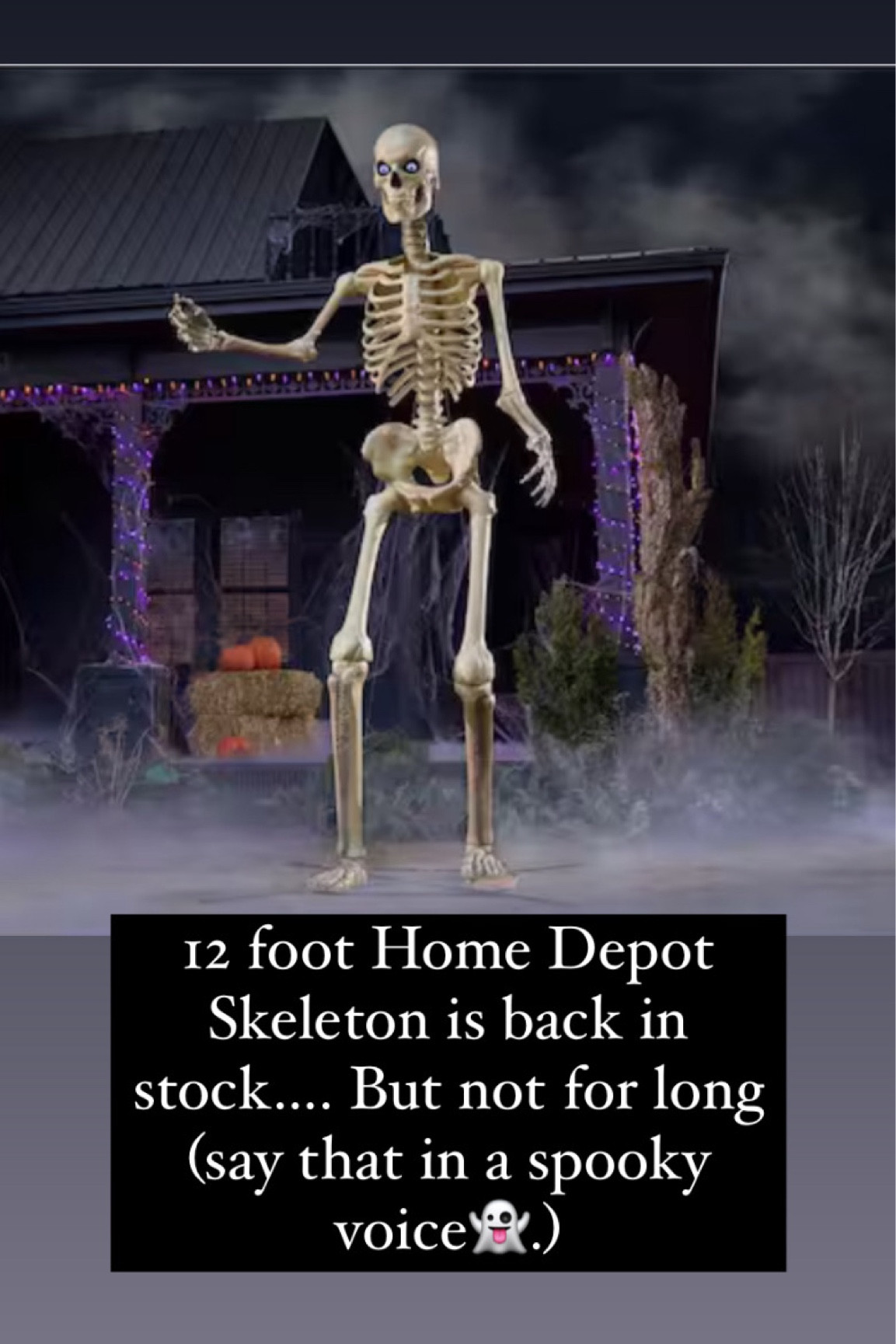 When Is the Best Time to Post on Instagram in 2026?, image size:1181x1772