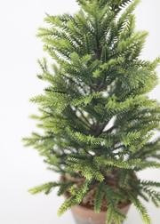 Fake Frosted Mini Spruce Christmas Tree in Pot - 23" | Afloral (US)
