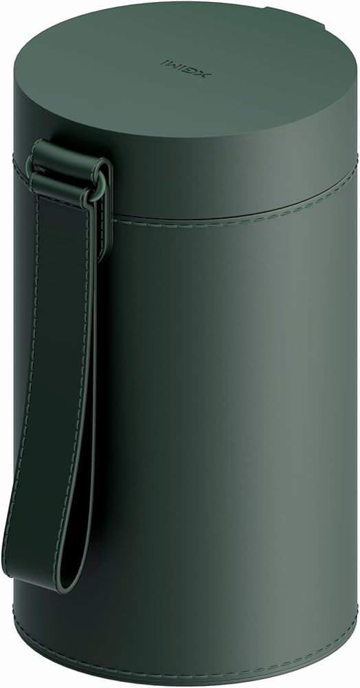 XGIMI Carrying Case, Designed for The XGIMI MoGo 3 Pro, Portable Case, Accessories | Amazon (US)