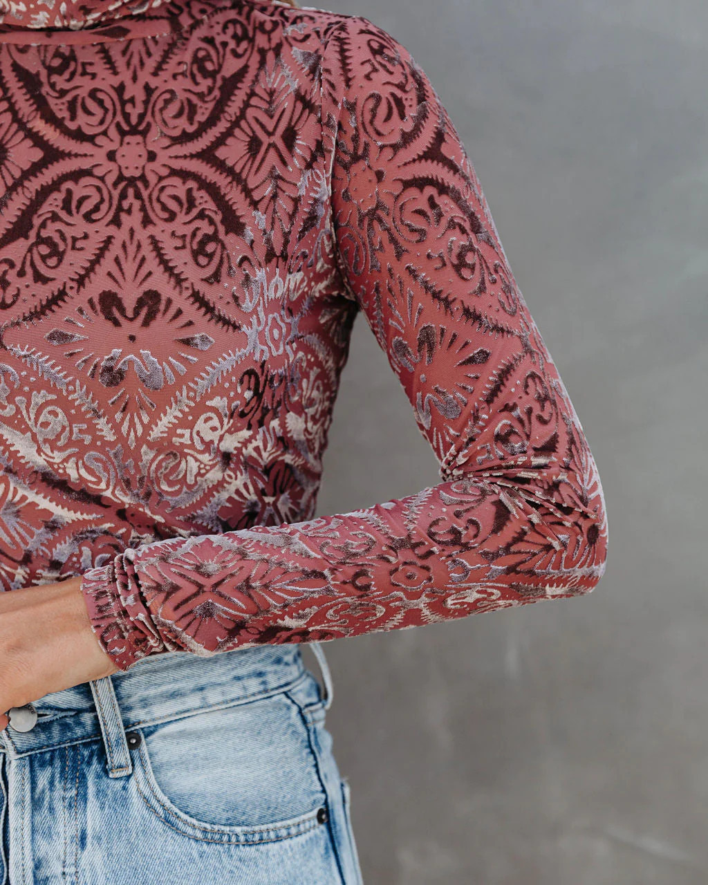 Tessy Velvet Burnout Turtleneck Top | VICI