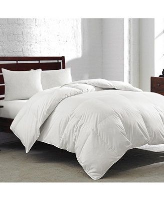 Royal Luxe White Goose Feather & Down 240 Thread Count Comforter, Twin, Created for Macy's - Macy... | Macy's Canada