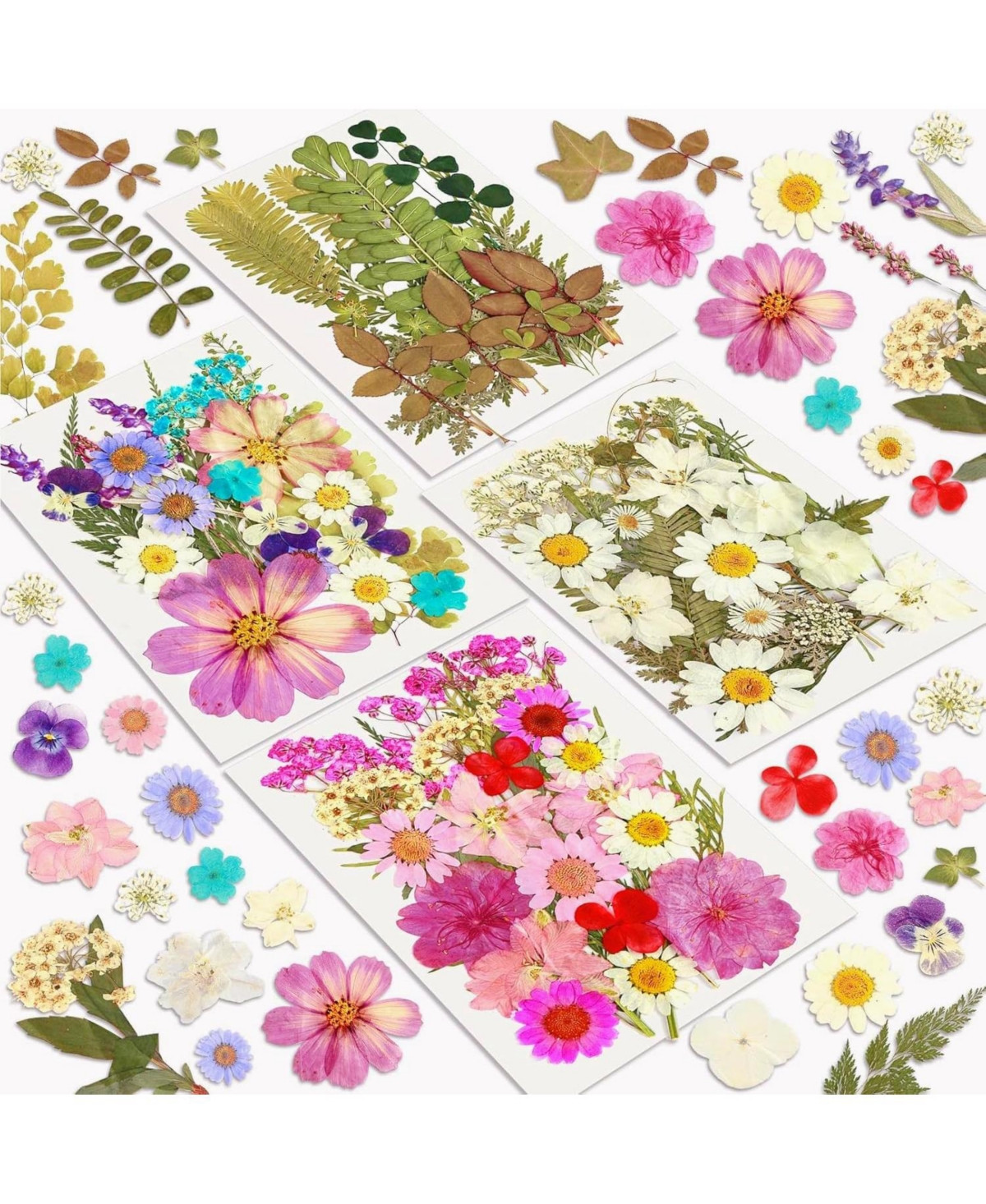 Gnuadz 100pcs Dried Flowers Pressed Leaves Craft Kit Diy Soap Candle Scrapbook Card Making Supplies - Blossom | Macy's