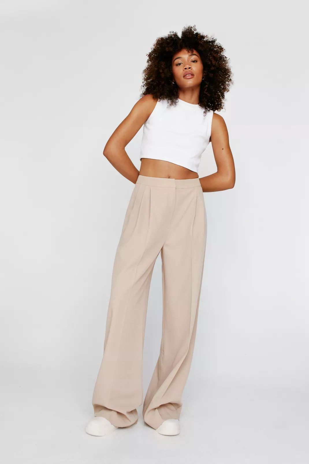 Pleated Front Wide Leg Tailored Pants | Nasty Gal (US)