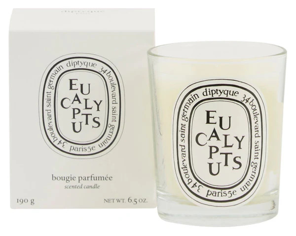 Diptyque Candles | Jayson Home