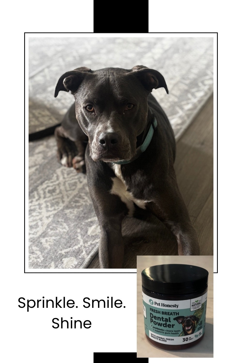 Take care of your dogs teeth and give them fresh breath for all those doggie kisses 💋🐶 #dogmom #pets #doglife 

#LTKFamily #LTKPets