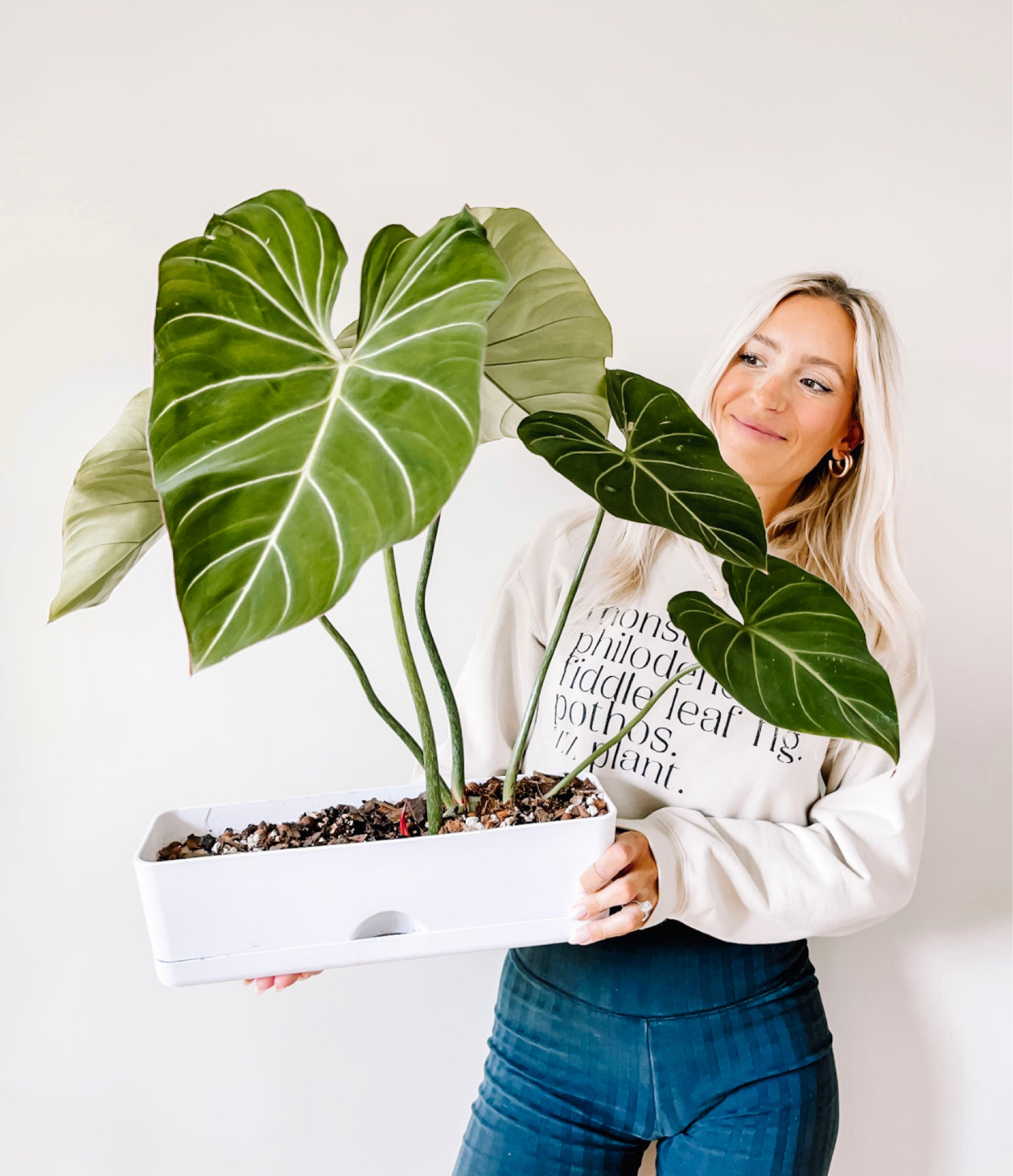 My favorite planter for crawling plants! 

#LTKhome #LTKSeasonal #LTKsalealert