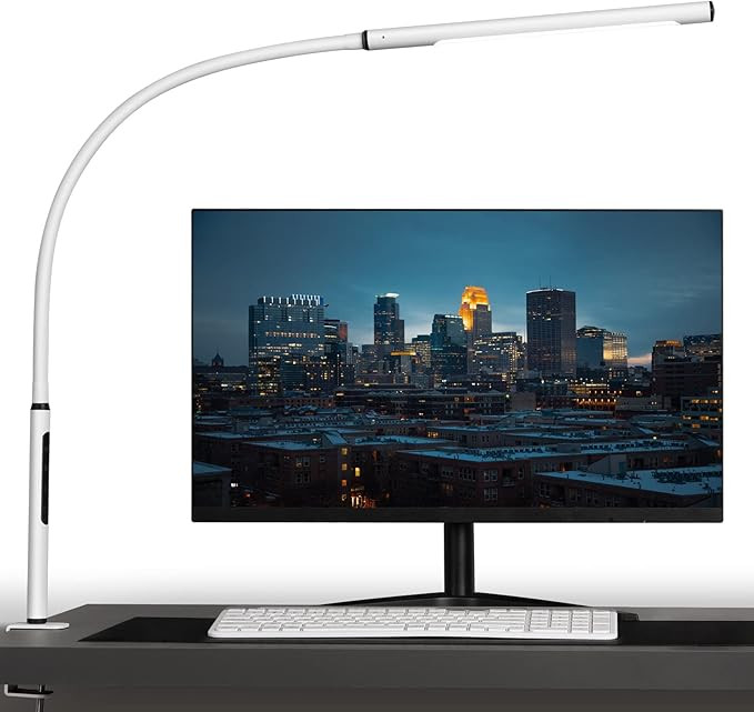 Eye-Caring Desk Lamp, Gooseneck Lamp with Clamp, Swing Arm Desk Light, Adjustable Brightness & Co... | Amazon (US)