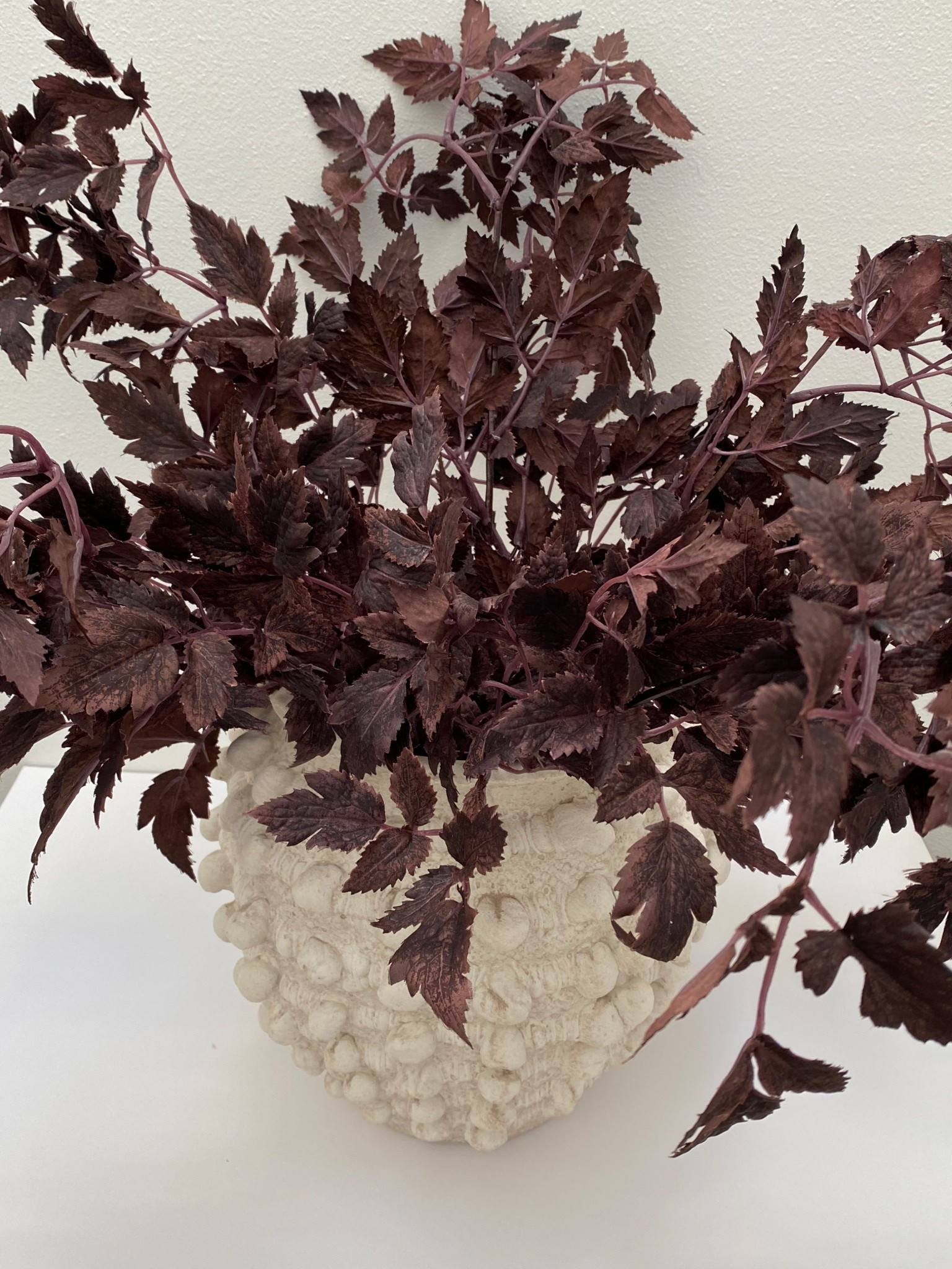 Affordable fall stems

#LTKSeasonal #LTKHome #LTKFallSale