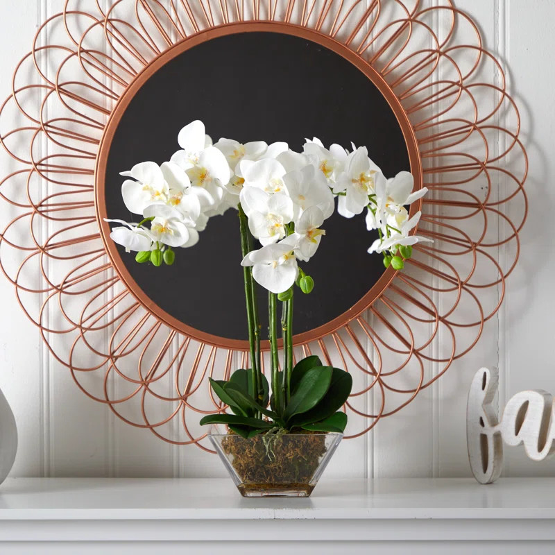 Orchid Arrangement in Vase | Wayfair North America