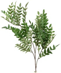 Gracie Oaks Locust Spray Tree | Wayfair North America