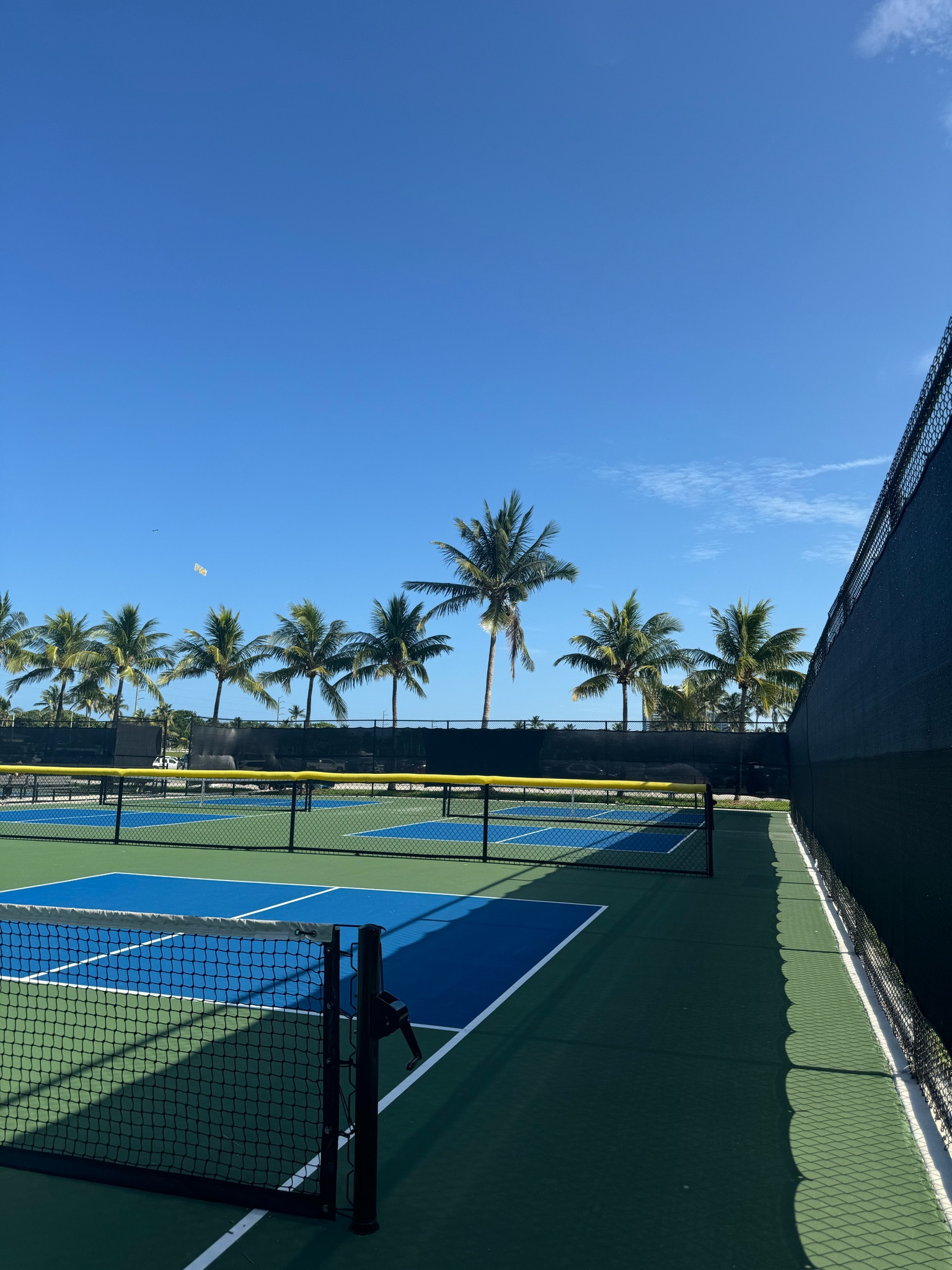 Pickleball Season is in full swing! The weather is perfect to get out and play! Here are my favorites! 

| court style | pickleball essentials| seasonal sports | court fit| Franklin | adidas | Reebok | pickleball fit | cute athleisure | neutral court fit | fall sports 

#LTKFitness #LTKSeasonal #LTKFindsUnder100