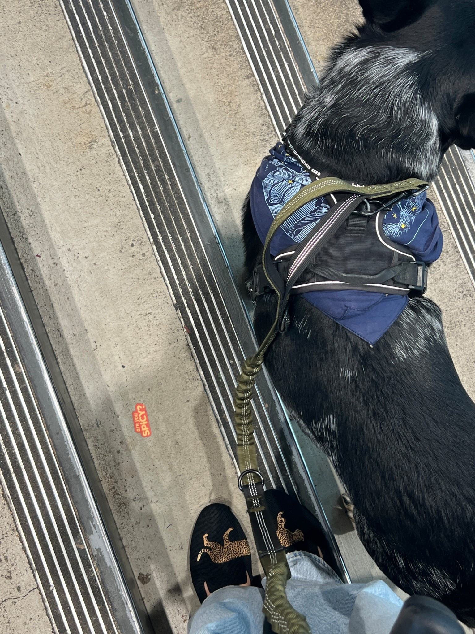 I love these shoes 😍

#LTKGiftGuide #LTKStyleTip #LTKShoeCrush