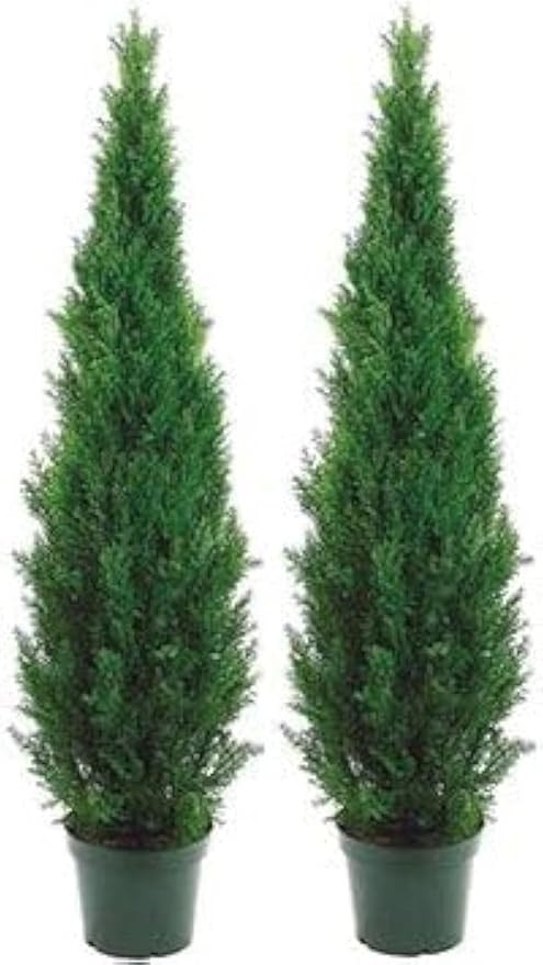 Two 5 Foot Outdoor Artificial Cedar Topiary Trees Potted Plants Two Peace Construction | Amazon (US)