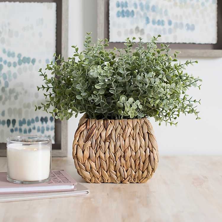 New! Woven Basket Frosted Eucalyptus Arrangement | Kirkland's Home