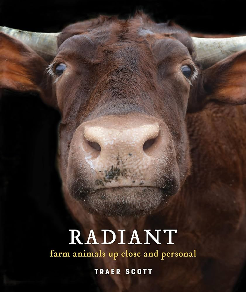 Radiant: Farm Animals Up Close and Personal (Farm Animal Photography Book) | Amazon (US)