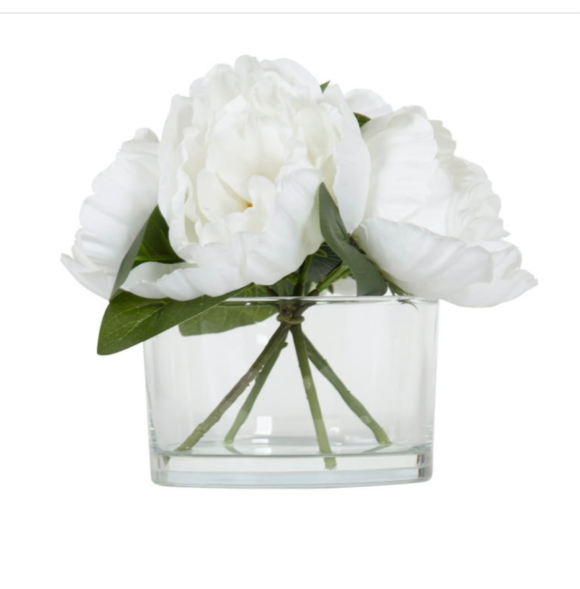 Faux flower

#LTKfamily #LTKhome #LTKFind