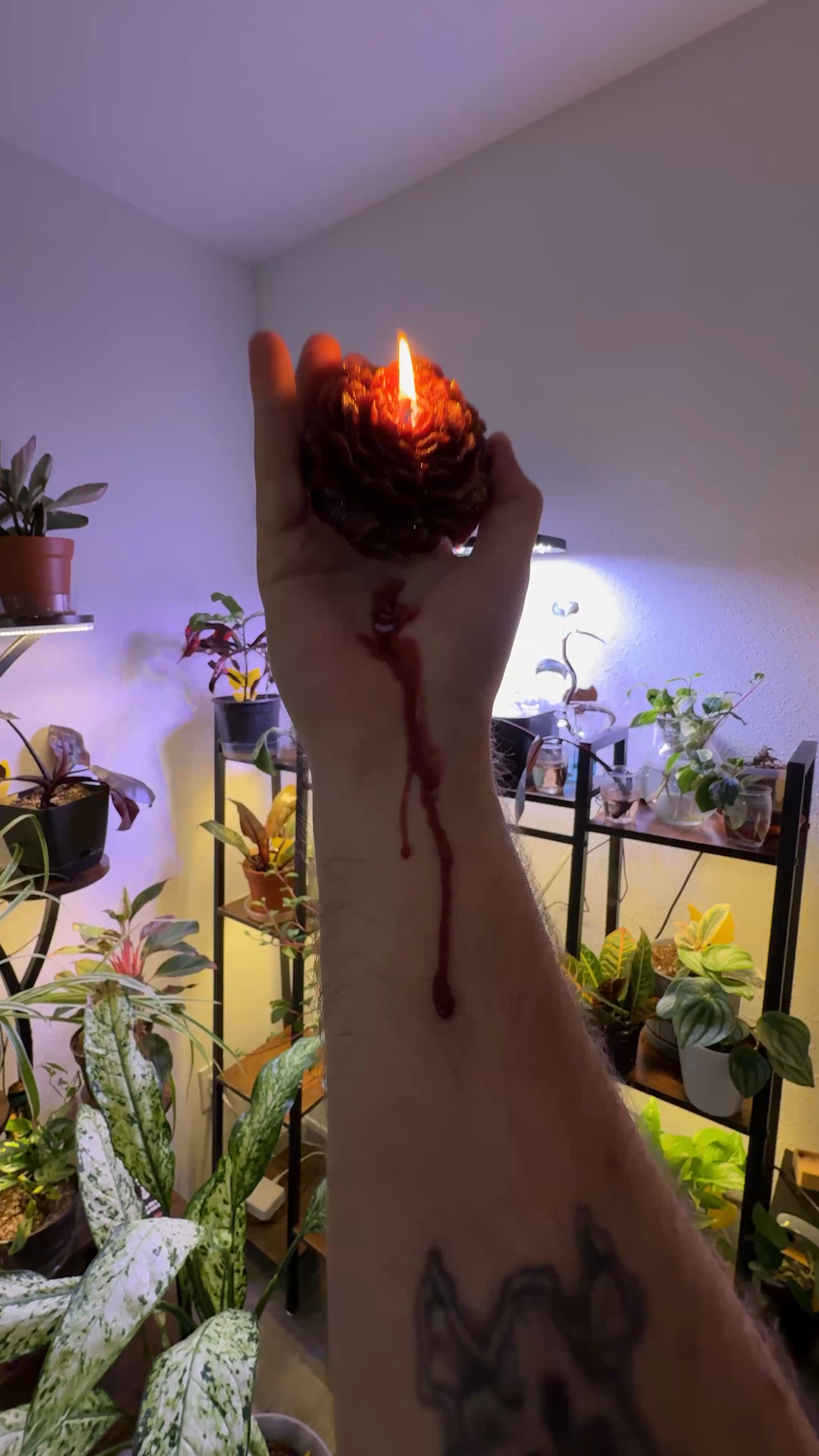 Low temperature wax melting candles for play. #candles #lowtempwax #intimate #valentines

#LTKU