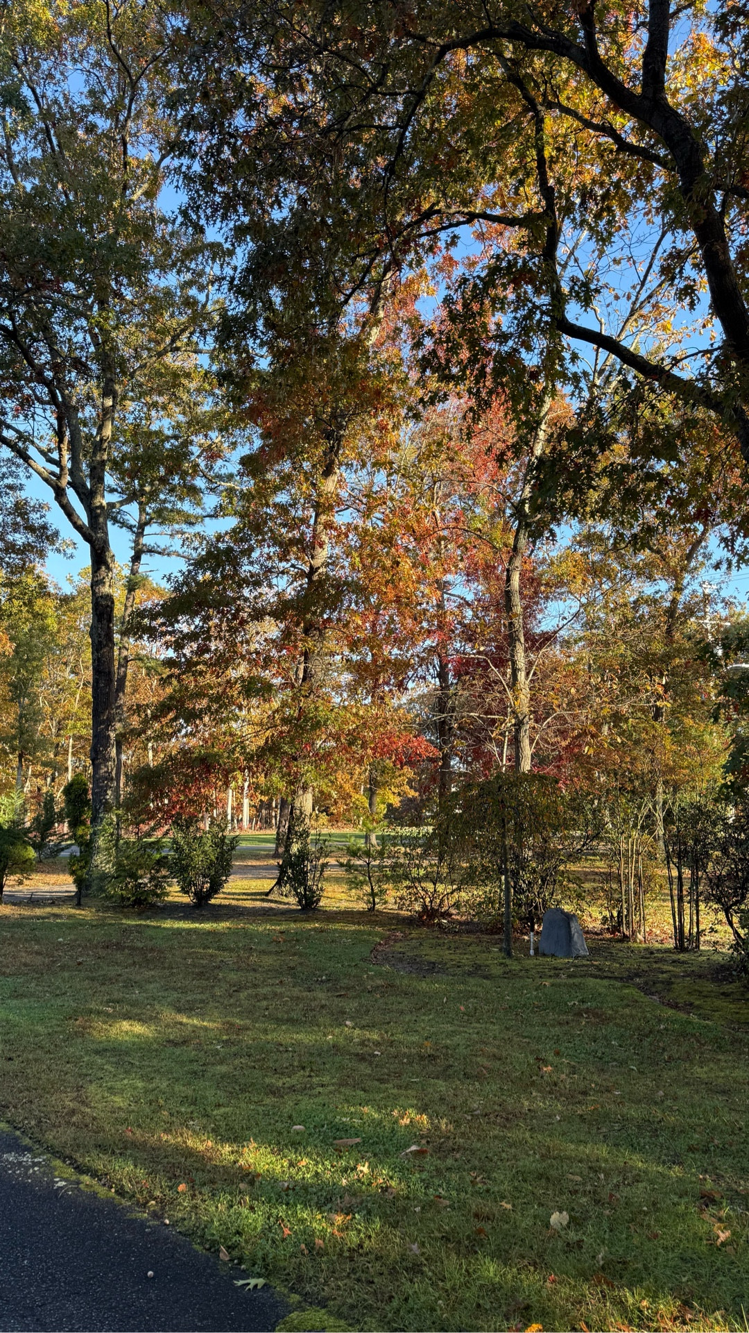 Just a lesson I learnt from the trees 🌳 happy Sunday 💕

#LTKSeasonal #LTKFamily #LTKU