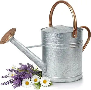 Plexon Large Metal Watering Can Outdoor 2 Gallon, Plant Flower Gardening Garden Watering Can Pot,... | Amazon (US)