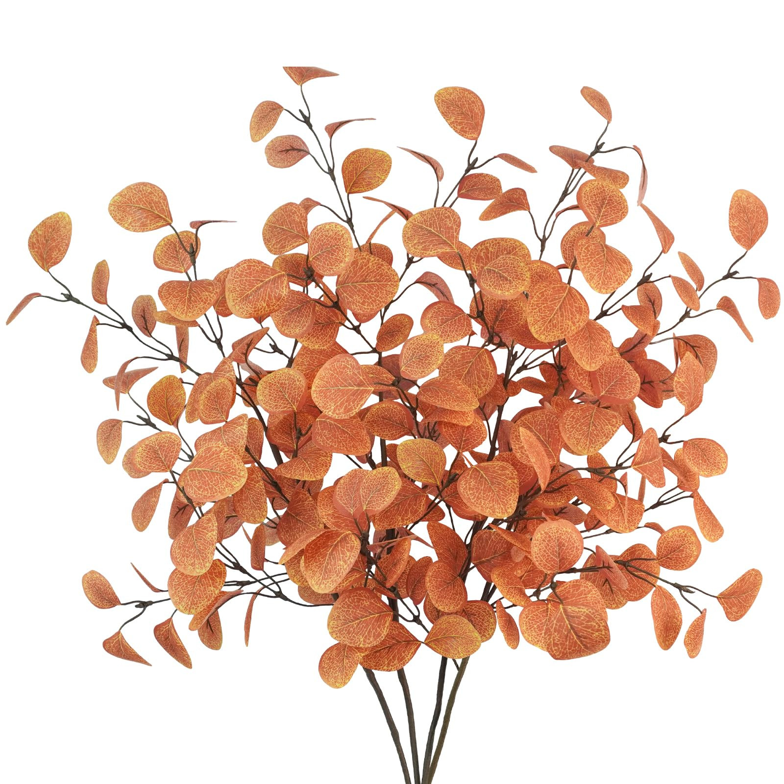 Fall Leaves | Amazon (US)