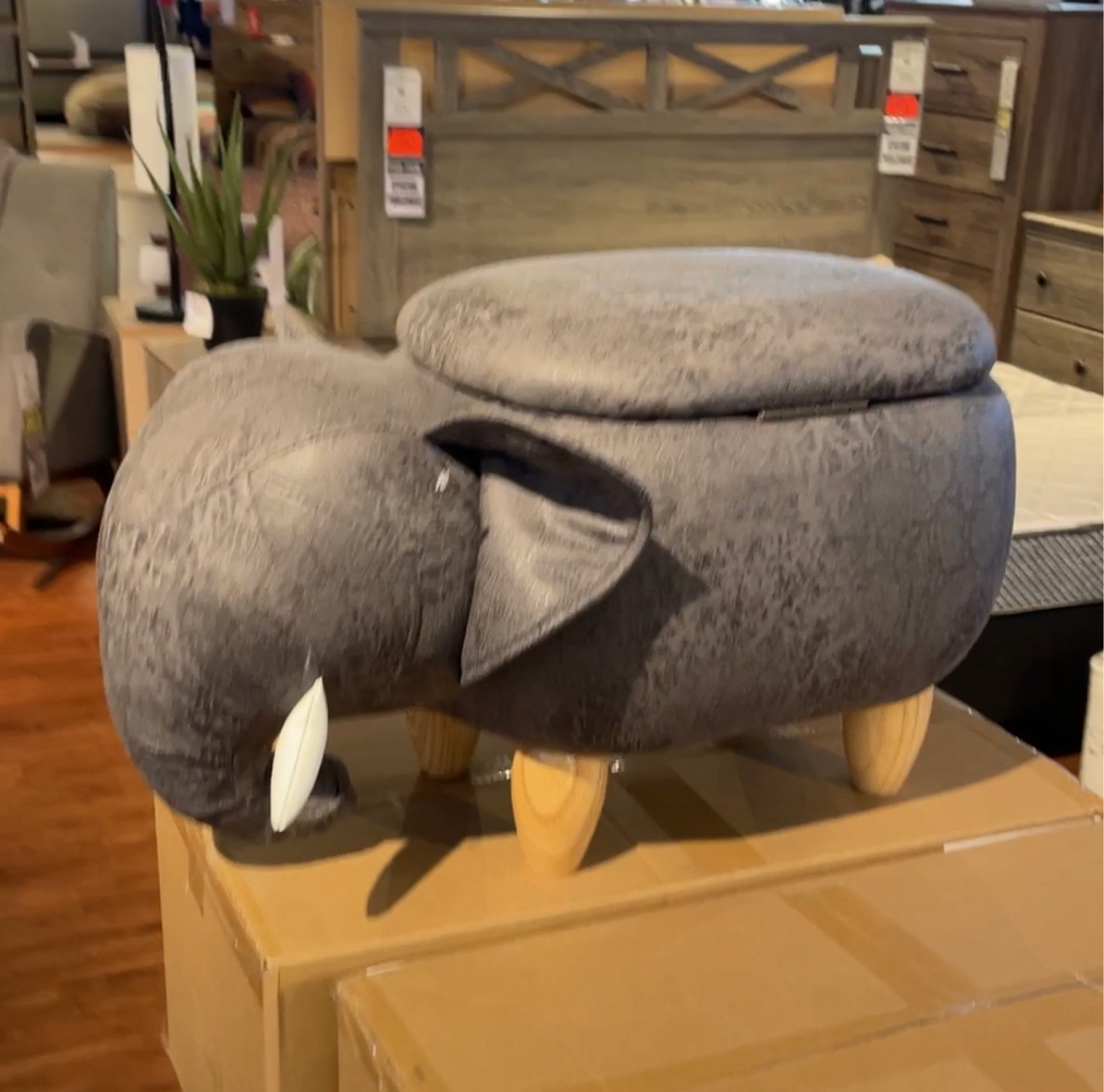 #kidsroom #playtoom #elephant #elephantfootstool #elephantstool #babyroom #homedecor #animalfootstool #kidsplayroom #animaldecor #storagefootstool

#LTKkids #LTKGiftGuide #LTKhome