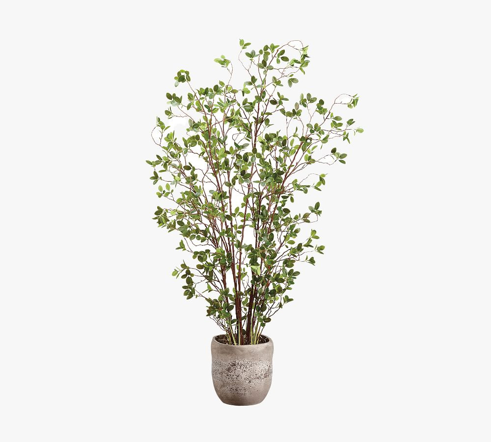 Faux Potted Mini Leaf Tree | Pottery Barn (US)
