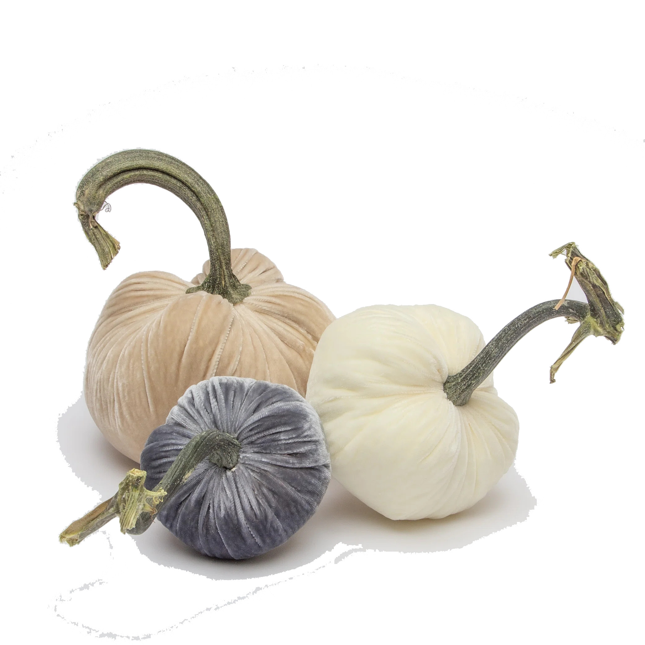 Silk Velvet Pumpkins-Neutral Trio | Perigold