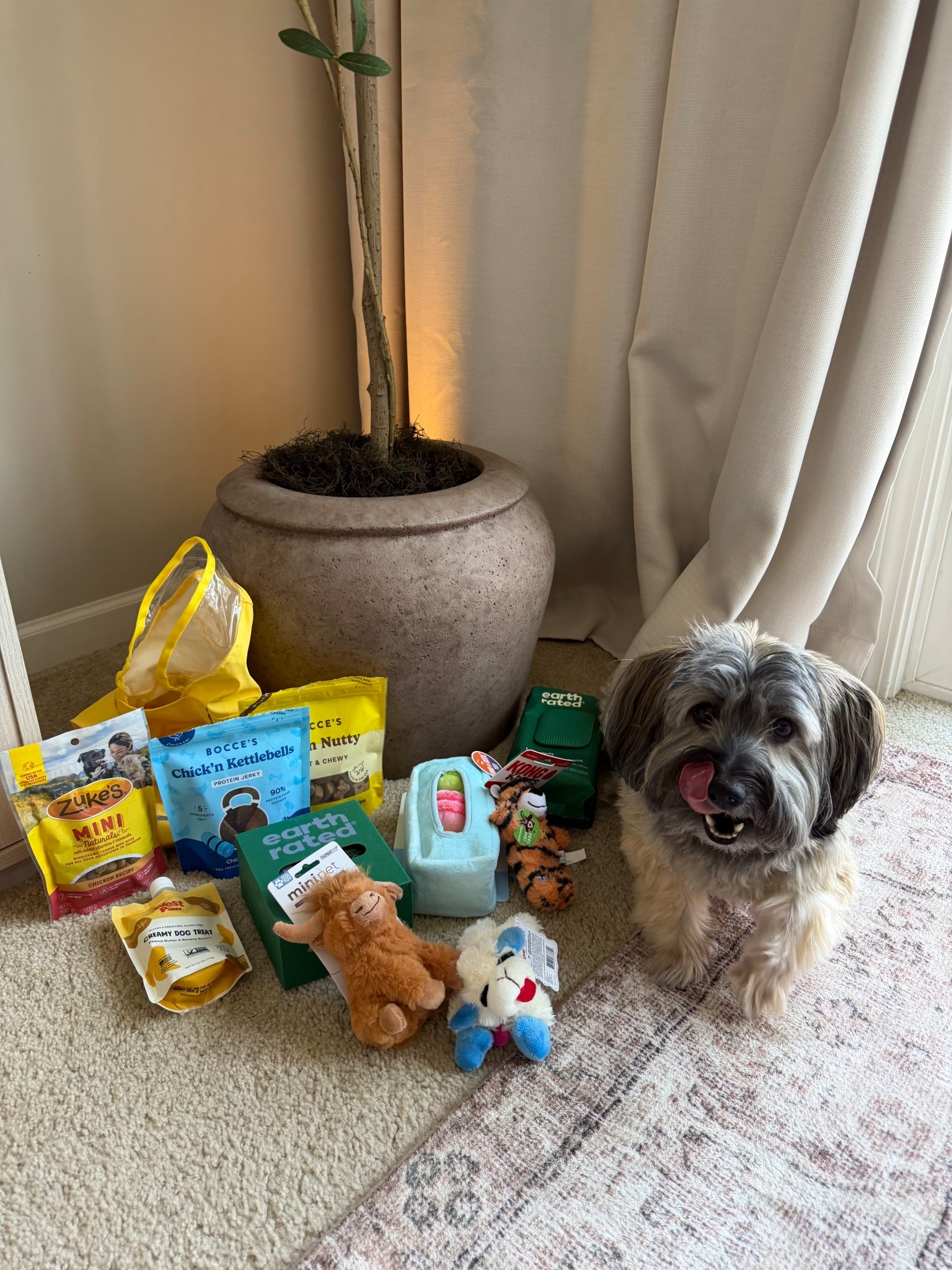 Finn’s @Petco Favorites [the highland cow toy was the top pick!!!] 🐶🥰 #petcopartner #ad 