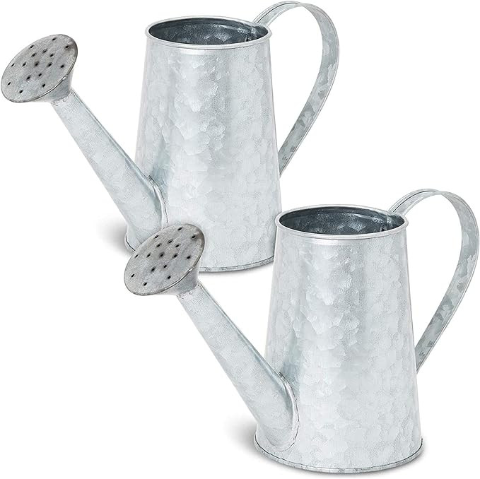 Juvale Galvanized Watering Can Vases with Handle for Home Decor (5.5 Inches, 2 Pack) | Amazon (US)