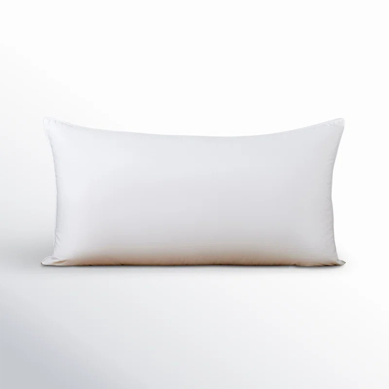 Terron Down Firm Pillow | Wayfair North America
