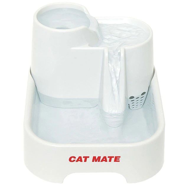 CAT MATE Plastic Dog & Cat Fountain, 67.6-oz - Chewy.com | Chewy.com