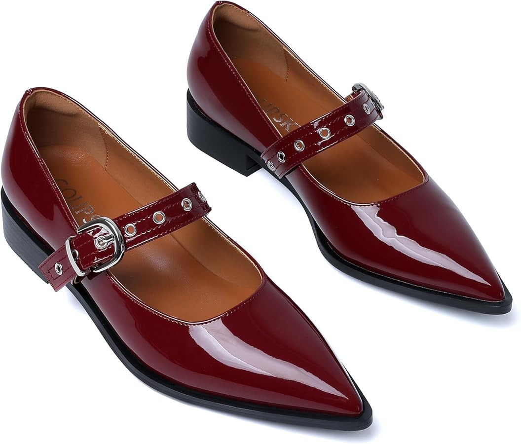 Mary Jane Shoes Women Chunky Low Heels Buckle Strap Pumps Womens Closed Pointed Toe Ballet Flats ... | Amazon (US)