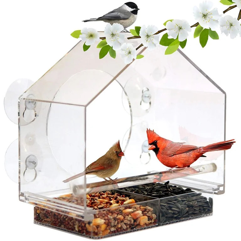 GUCHO Window Bird Feeder with 5 Extra Strong Suction Cups, Sturdy and Durable Acrylic Bird Feeder... | Walmart (US)