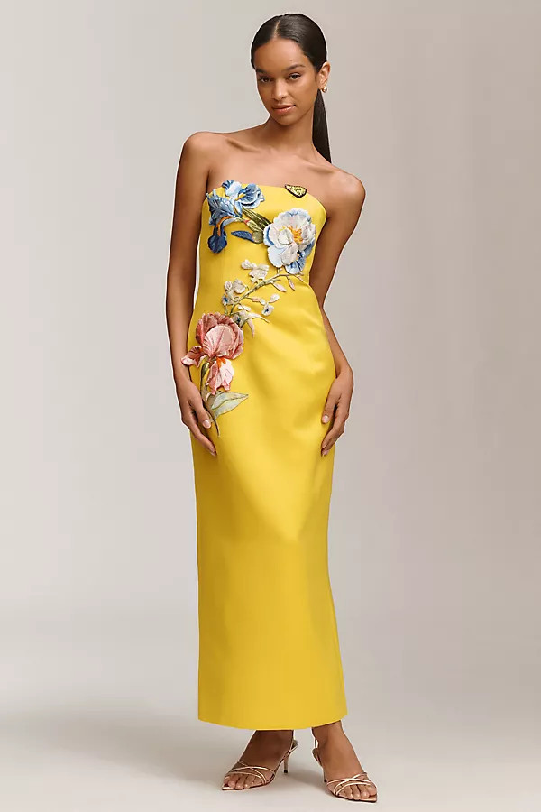 Rayna Appliqué Floral Strapless Maxi Dress | Anthropologie (US)