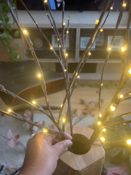 I group lit branches in sculptural vases around the home, it’s so magical at night. Check out the options I’ve linked below 🥂 Happy Holidays!!

#LTKHoliday #LTKhome #LTKSeasonal