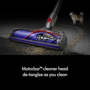 Dyson V8 Plus Cordless Vacuum, Silver/Nickel | Amazon (US)