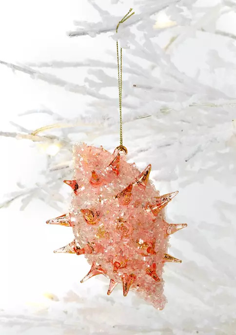 Conch Shell Ornament | Belk