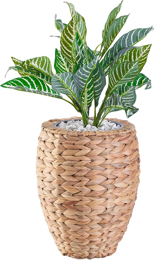 Vintiquewise Water Hyacinth Wicker Planter Basket, Small Round Woven Basket for Plants with Metal... | Amazon (US)