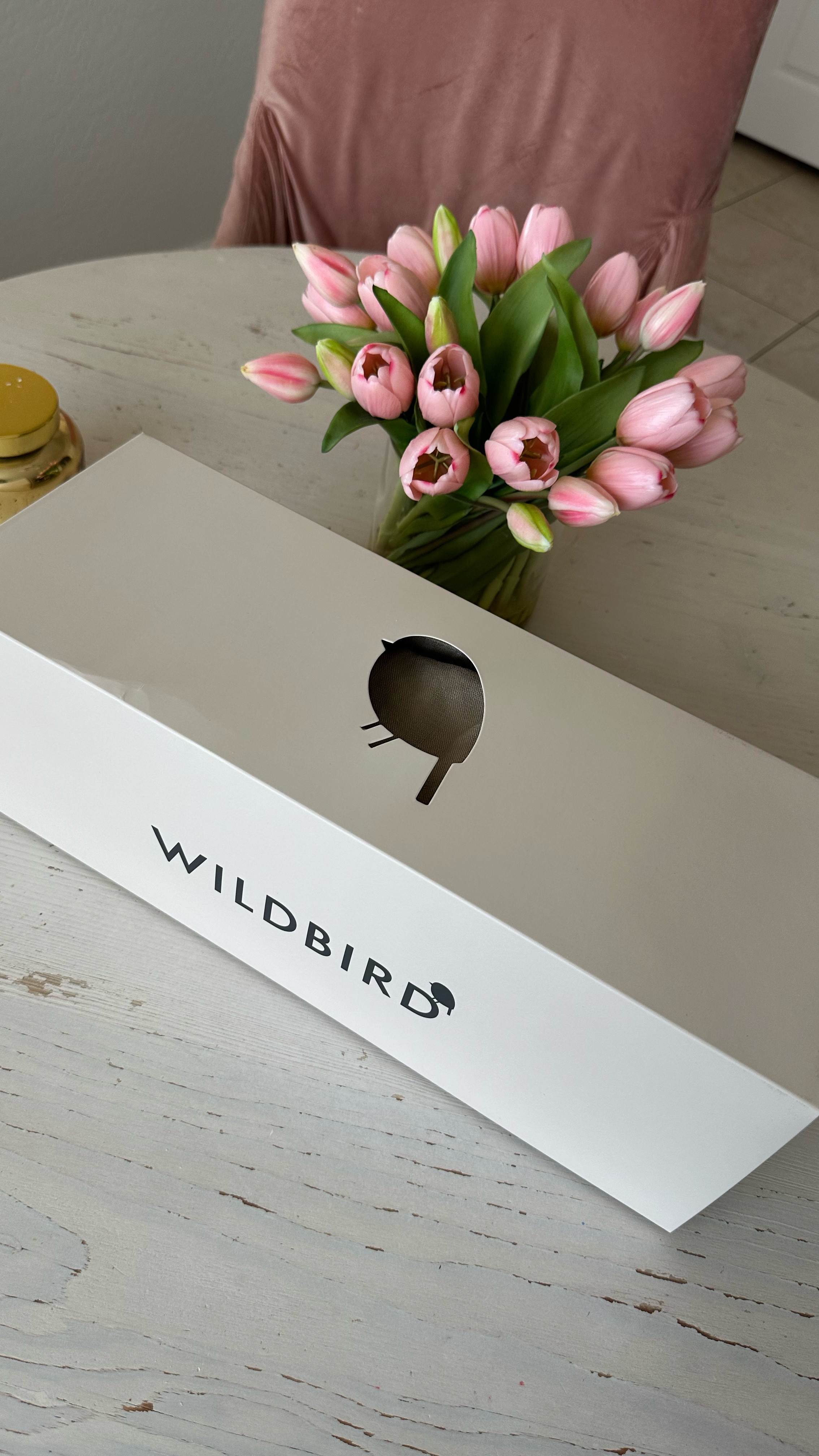 IM IN LOVE! IM OBSESSED! 🤎🌵🦂 my second Wildbird carrier! So excited! 

#LTKBaby #LTKFamily #LTKTravel