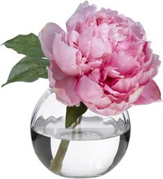 Pink Peony Blossom Gift | Diane James Home
