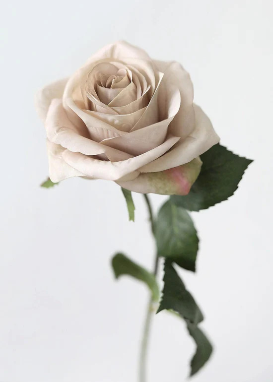 Artificial Flowers Rose in Taupe Beige - 21.5 | Afloral (US)