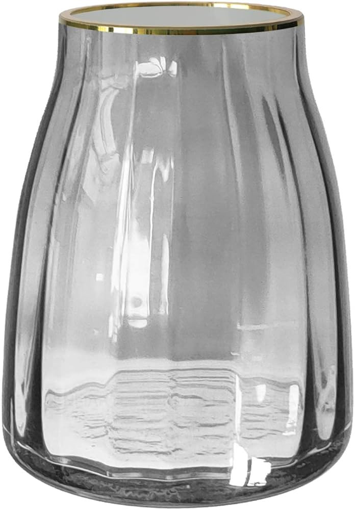 Senliart Clear Gilded Glass Vase, Grey Table Centerpiece Flowers Vase 7(H) x 5.5(W) | Amazon (US)