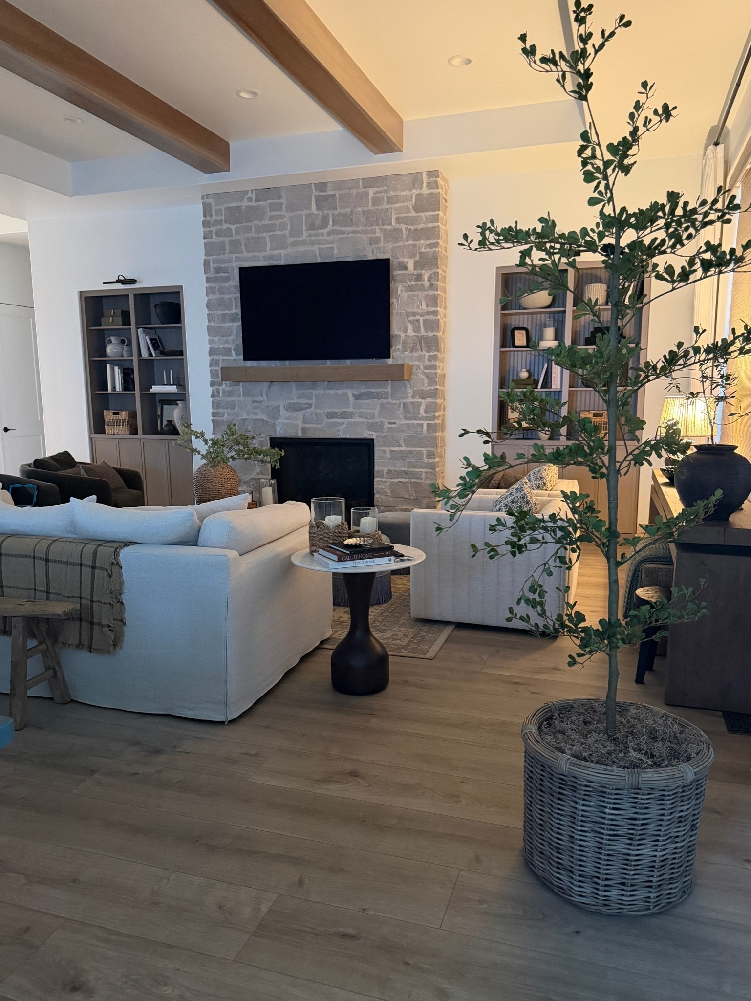 Living room views ✨😍

#LTKHome #LTKSaleAlert