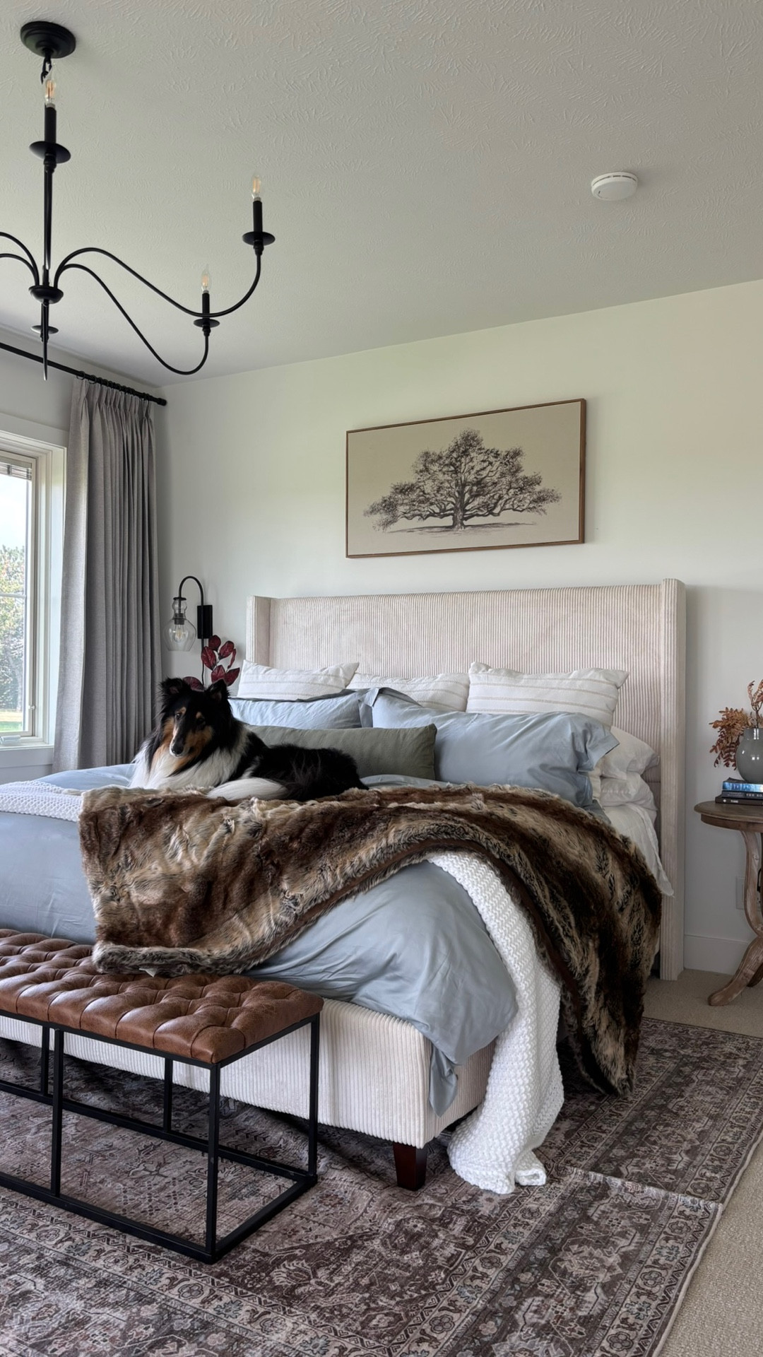 One way to add fall touches is to bring out the warmer blankets and nothing is warmer and cozier than this fur blanket from @battilo_home.  It’s big.  It’s warm.  It’s perfect for the cooler months. 

Comment SHOP for a link. Have a good day! 

Thank you @battilo_home for the wonderful blanket! 

#whitehouse #farmhouse #decoratingonabudget #homedecorideas #furblanket #falldecor #collie

#LTKHome