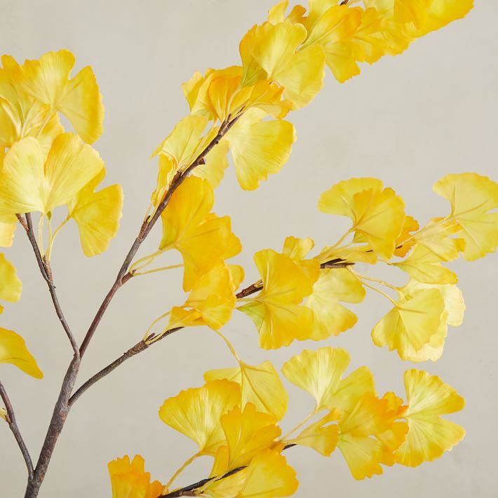 Faux Ginkgo Branch - Yellow | West Elm (US)