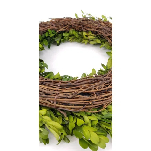 Front Door Greenery Wreath | Wayfair North America