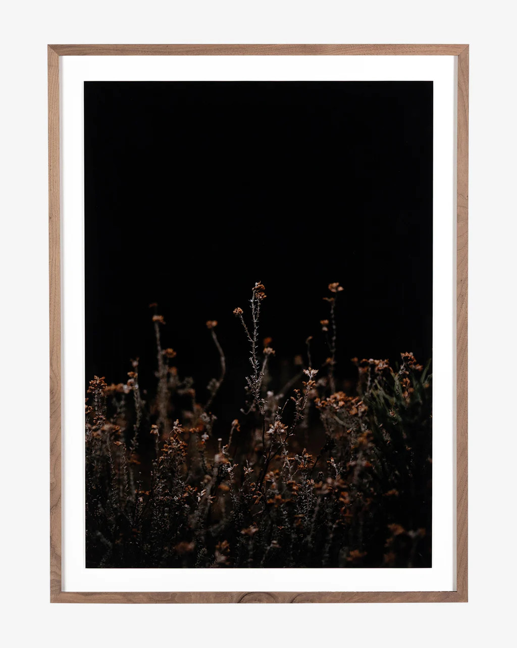 Flowers on Black Background | McGee & Co.